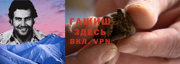 гидра Каменск-Шахтинский