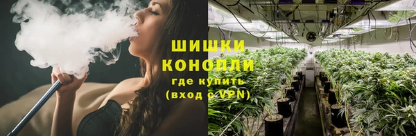 гидра Каменск-Шахтинский
